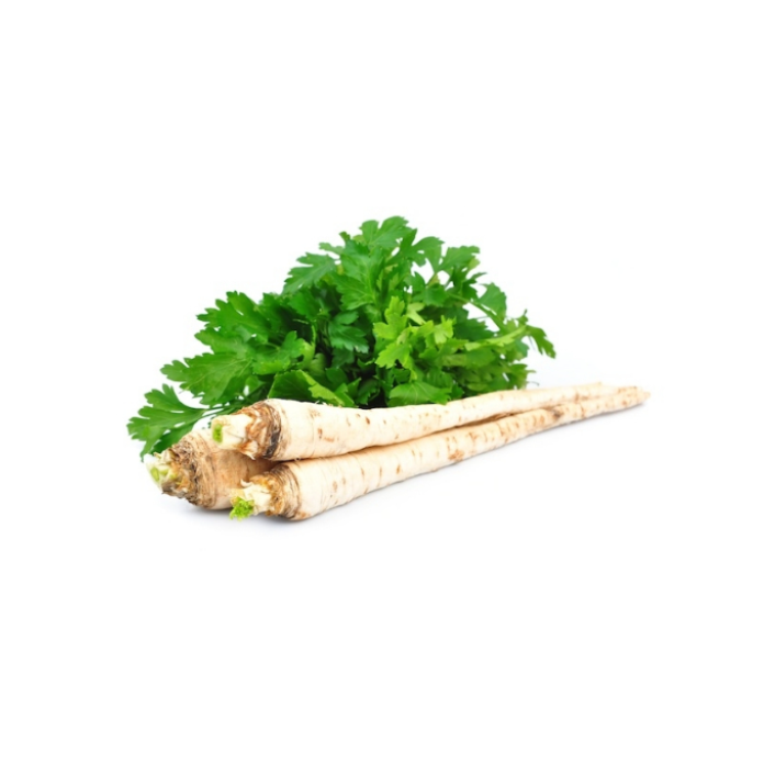 Parsley root