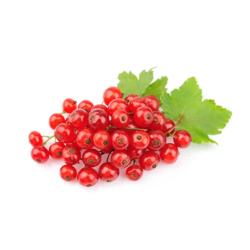 Redcurrant