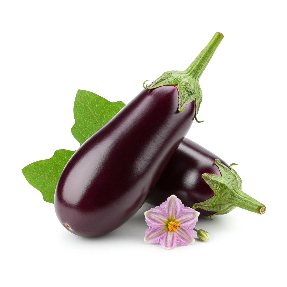 Eggplant