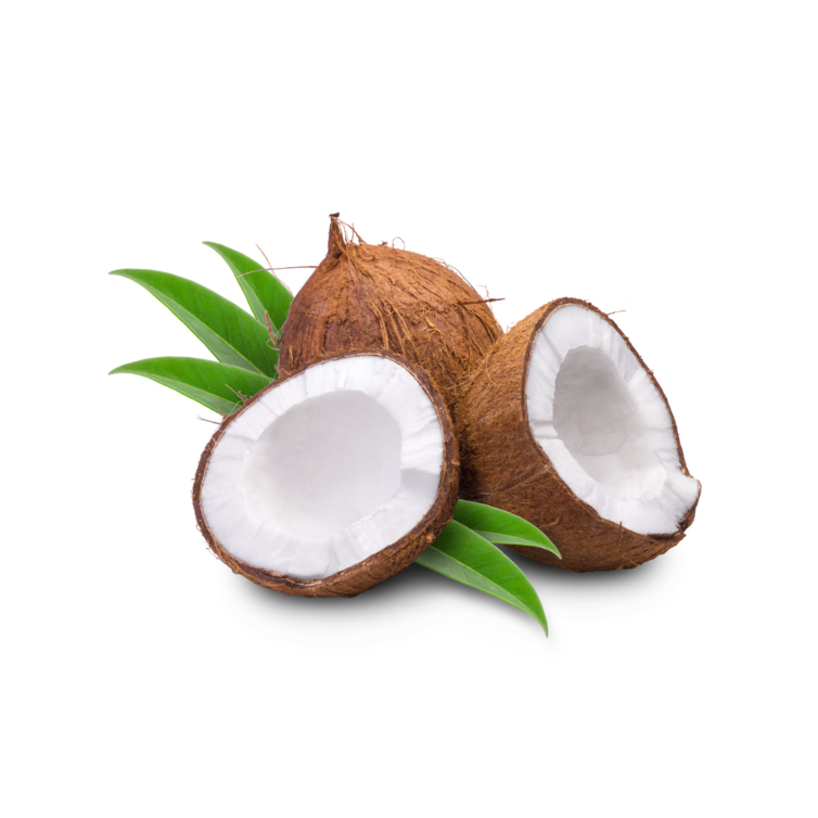 Coconut