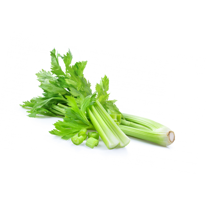 Celery stalk