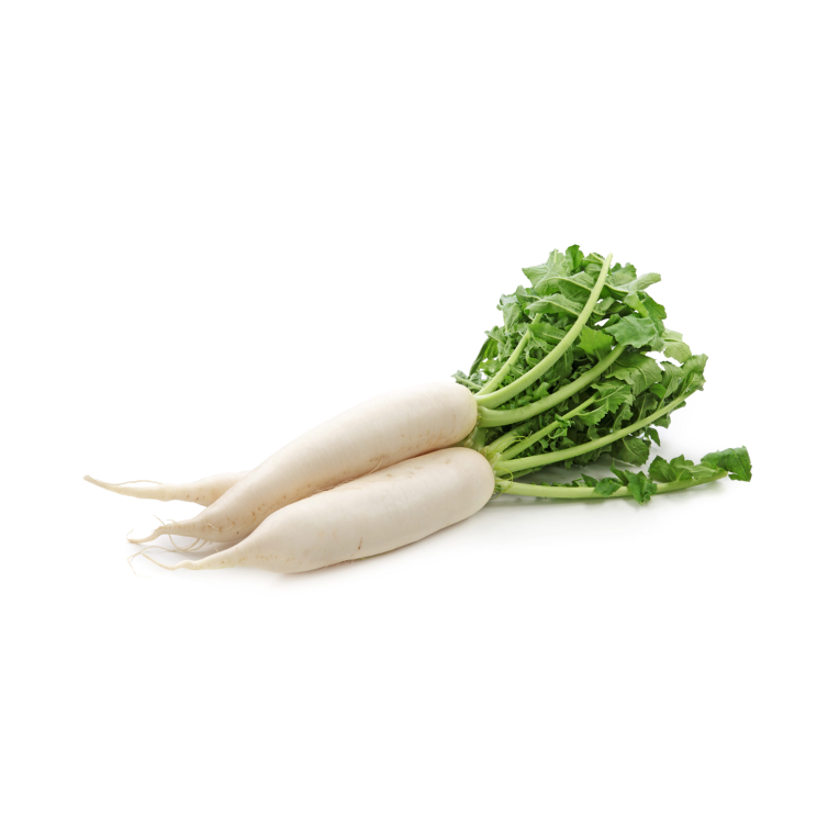 Daikon Radish