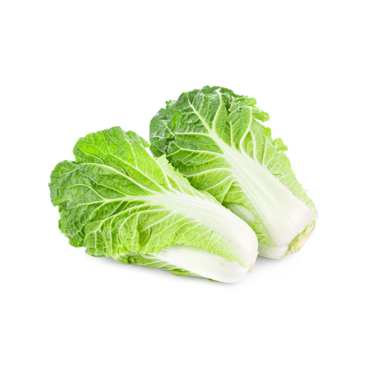 Chinese cabbage